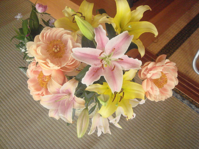 �{���Č����L