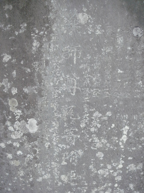 �{���Č����L