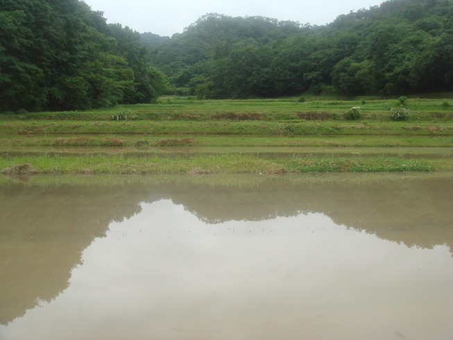 �{���Č����L