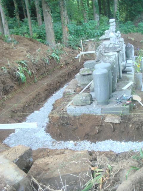 �{���Č����L