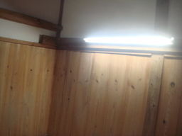 �{���Č����L