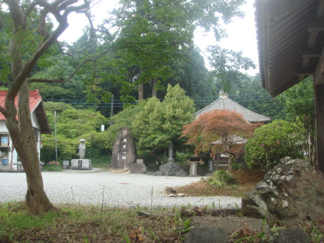 �{���Č����L