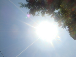 �{���Č����L