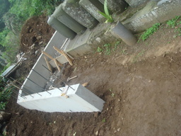 �{���Č����L