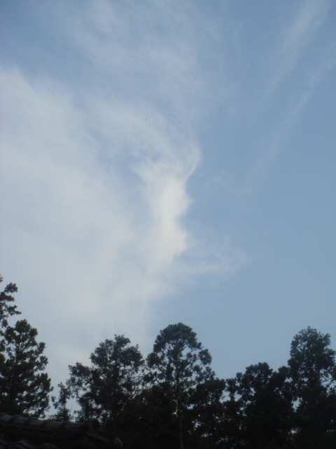 �{���Č����L