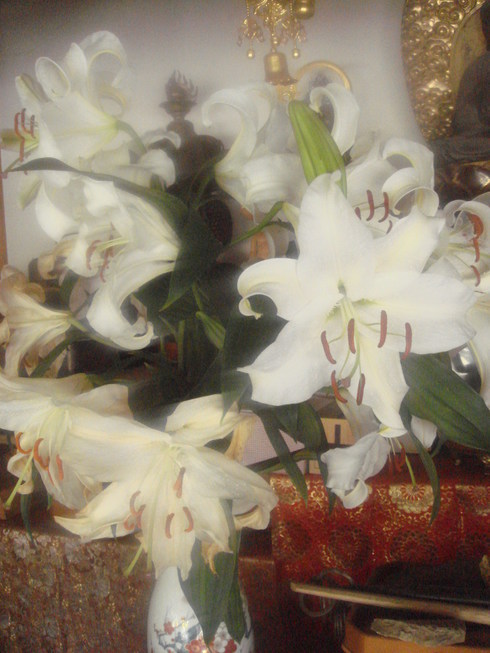 �{���Č����L