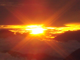 �{���Č����L