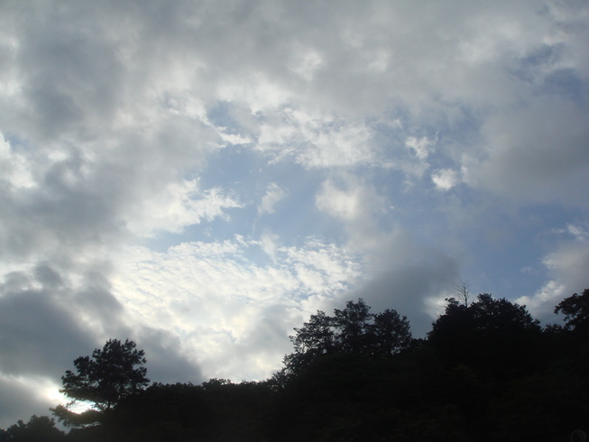 �{���Č����L