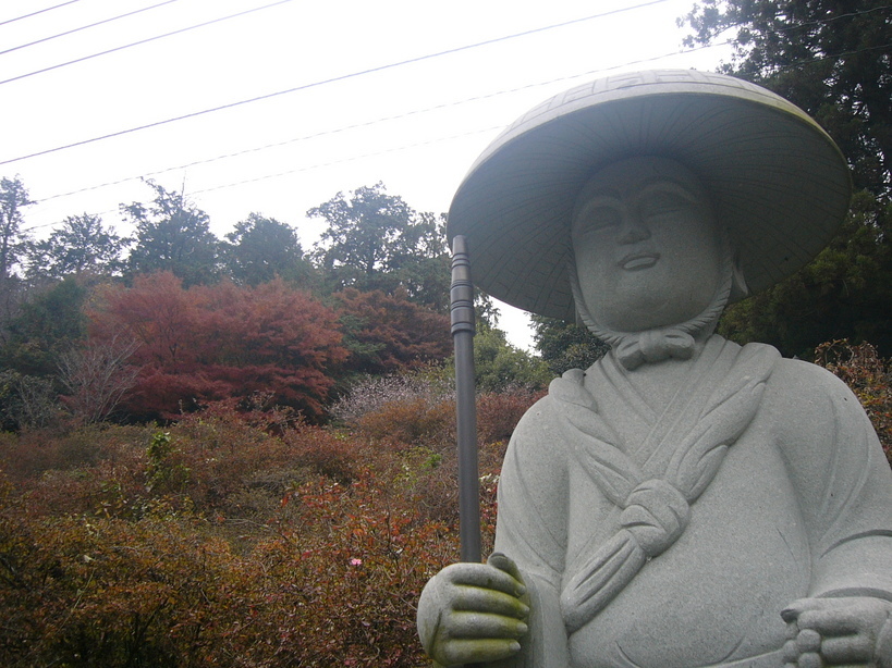 �{���Č����L