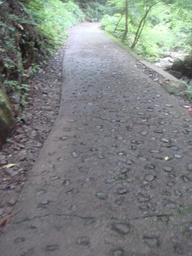 �{���Č����L