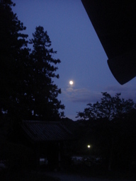 �{���Č����L