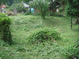 �{���Č����L