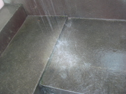 �{���Č����L