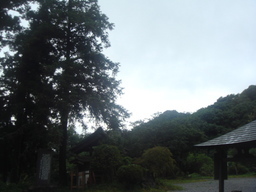 �{���Č����L