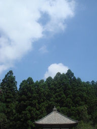 �{���Č����L