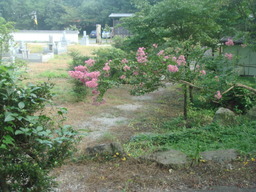 �{���Č����L