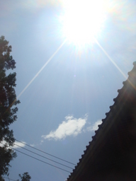 �{���Č����L