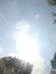 �{���Č����L