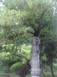 �{���Č����L