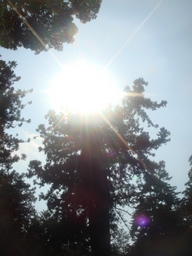 �{���Č����L