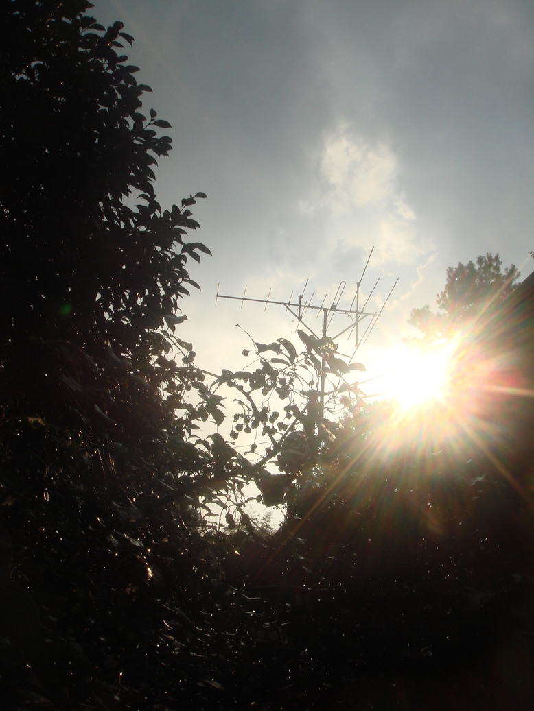 �{���Č����L