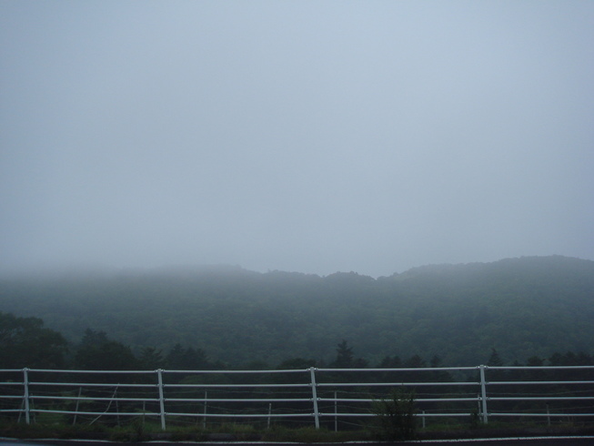 �{���Č����L