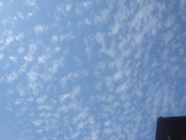 �{���Č����L