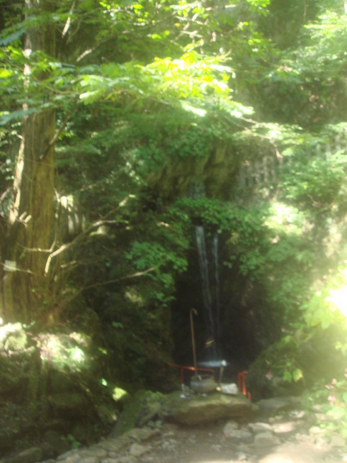 �{���Č����L