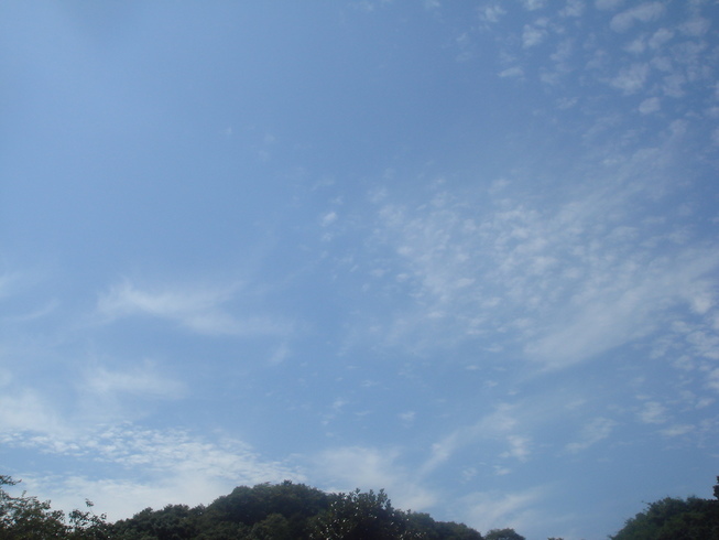 �{���Č����L