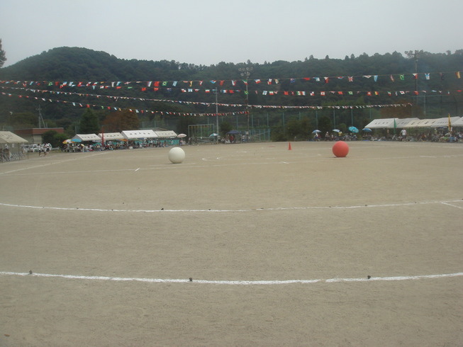 �{���Č����L