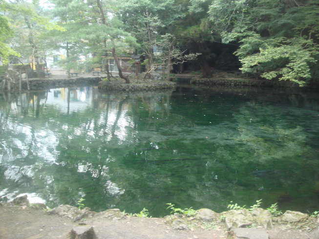 �{���Č����L