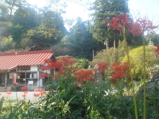 �{���Č����L