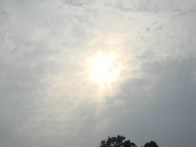 �{���Č����L