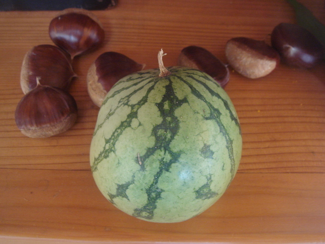 �{���Č����L