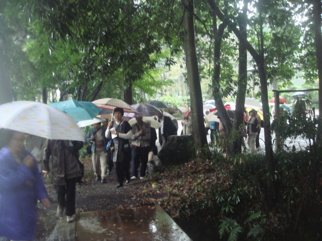 �{���Č����L