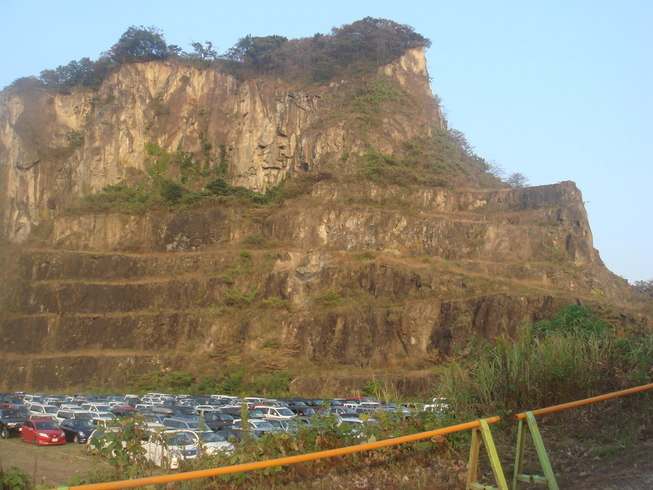 �{���Č����L