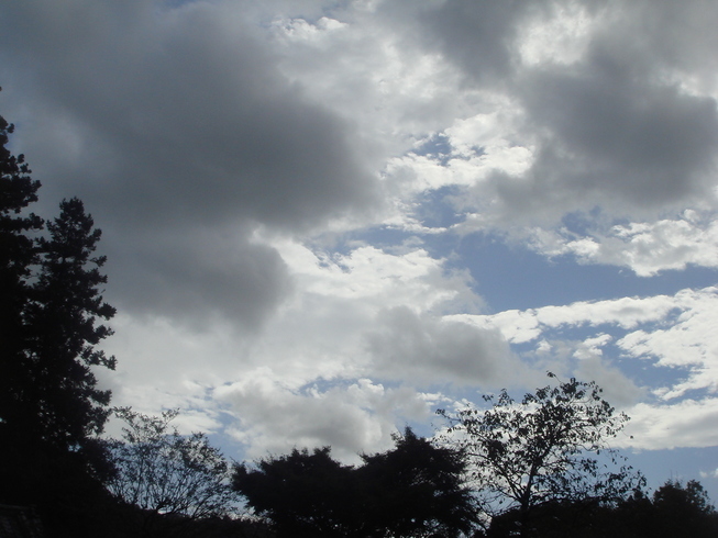 �{���Č����L