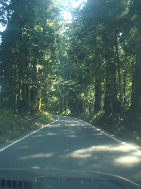 �{���Č����L