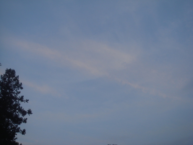 �{���Č����L