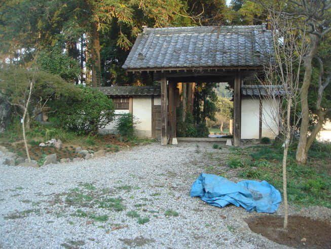 �{���Č����L