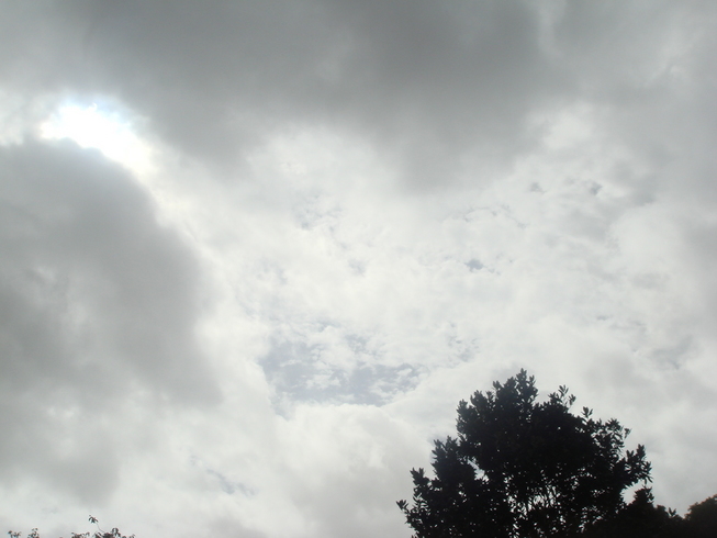 �{���Č����L