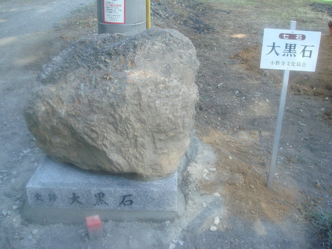 �{���Č����L