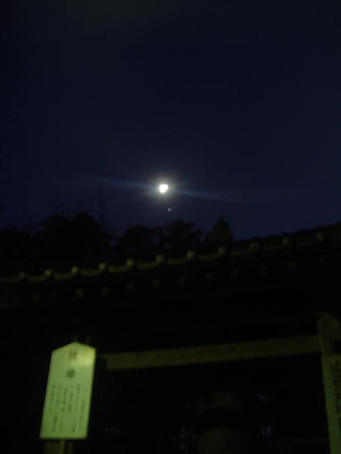 �{���Č����L