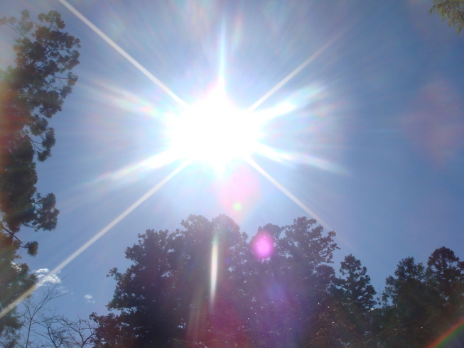 �{���Č����L