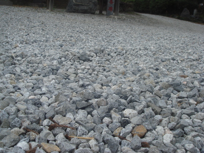 �{���Č����L