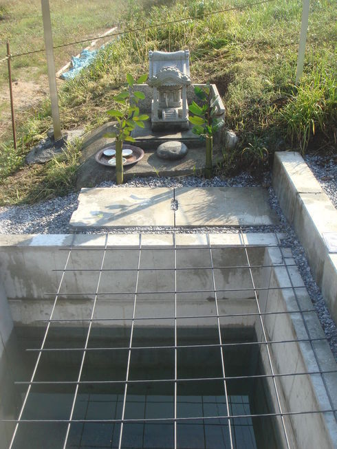 �{���Č����L