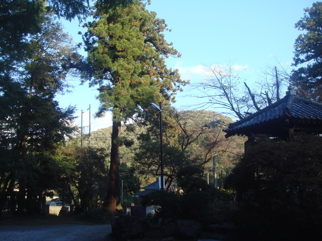 �{���Č����L