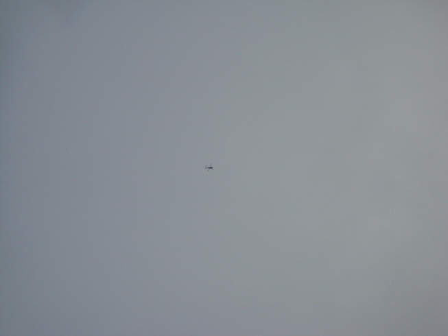 �{���Č����L