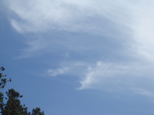 �{���Č����L