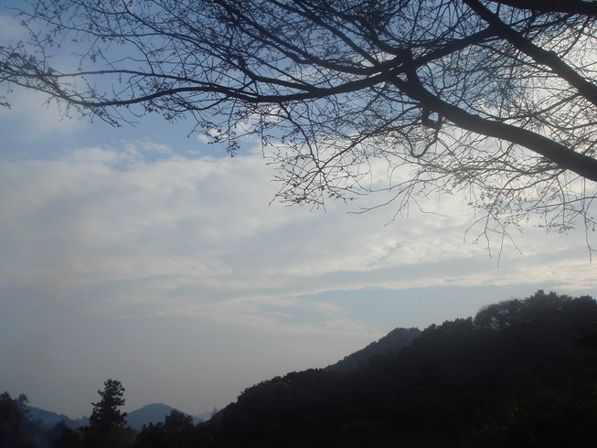 �{���Č����L